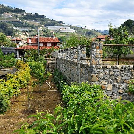 Вилла Le Rose San Biagio della Cima Экстерьер фото