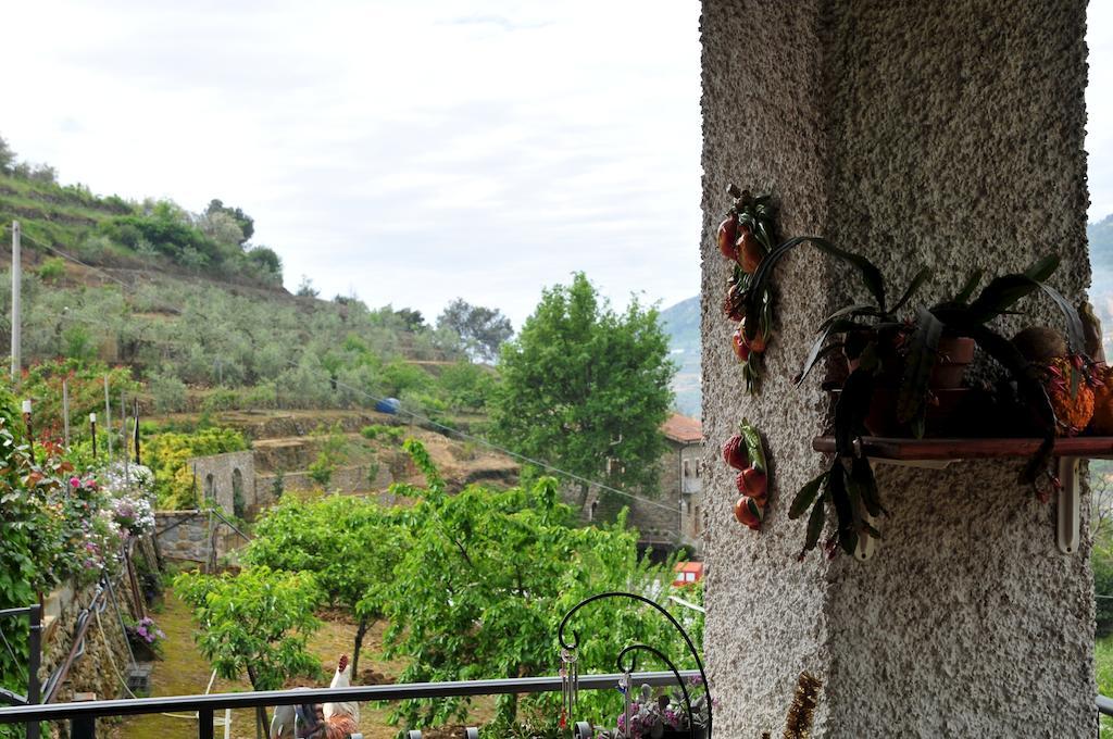Вилла Le Rose San Biagio della Cima Экстерьер фото