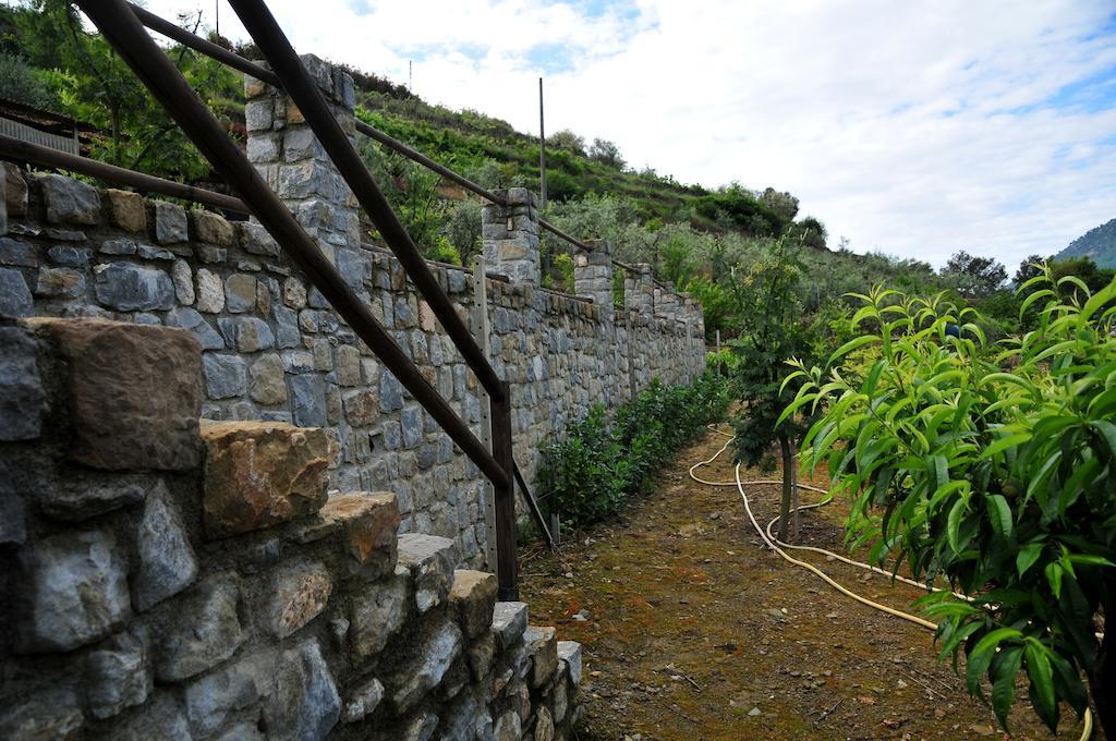 Вилла Le Rose San Biagio della Cima Экстерьер фото